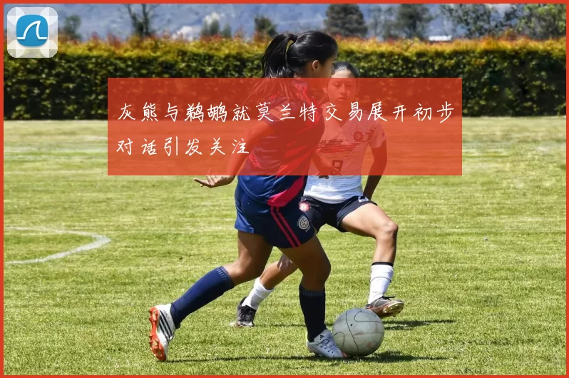 灰熊与鹈鹕就莫兰特交易展开初步对话引发关注