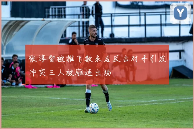 张淳智被推飞数米后反击对手引发冲突三人被驱逐出场